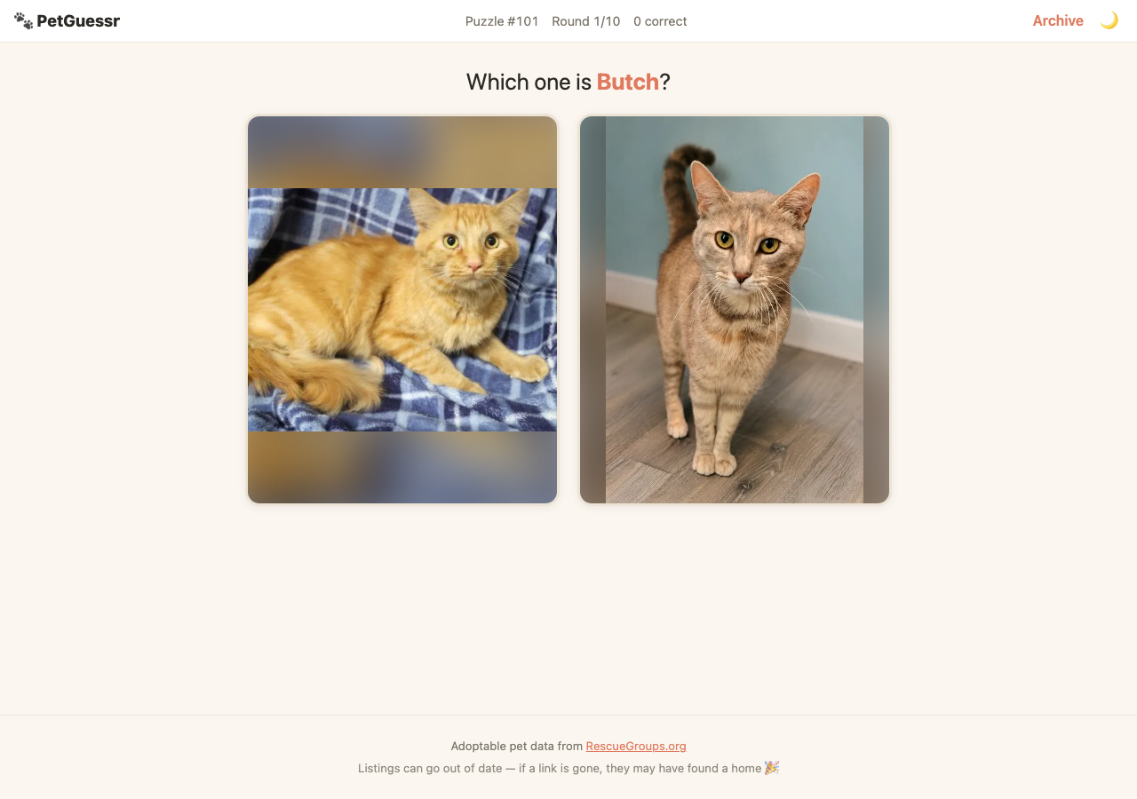 Unanswered PetGuessr first round with two shelter-cat photographs, a name prompt and RescueGroups.org attribution.